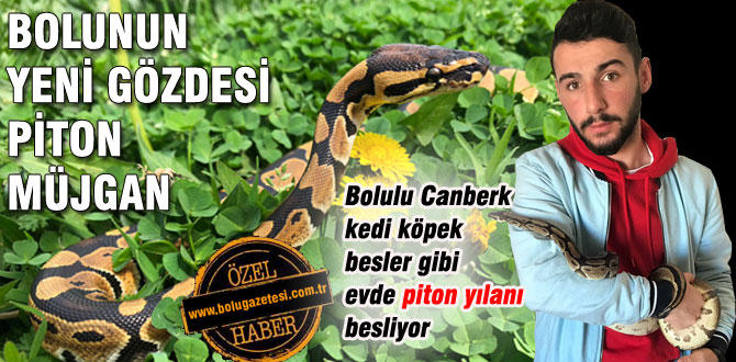 Bolulu genç evinde yılan besliyor