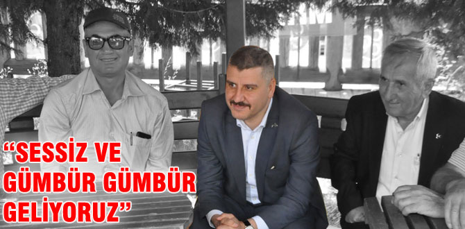 Evcil gümbür gümbür geliyor