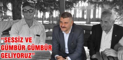 Evcil gümbür gümbür geliyor