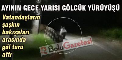 Gölcük'te davetsiz misafir