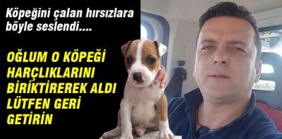 Köpeğini çalan hırsızlara böyle seslendi