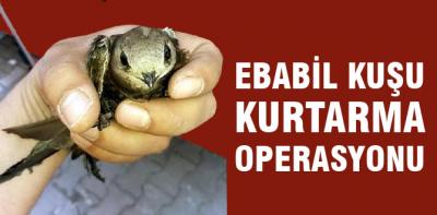 Çatıda sıkışan ebabili tfaiye kurtardı