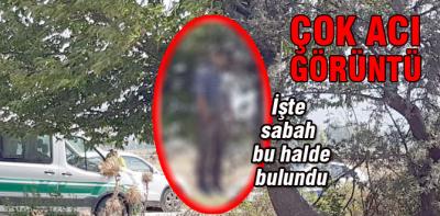 Ağaçta asılı bulundu