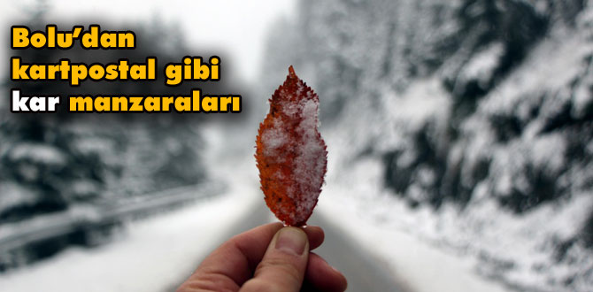 Bolu'dan kartpostal gibi kar manzaraları