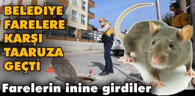 Veteriner İşleri Müdürlüğü'nden ilaçlama çalışması