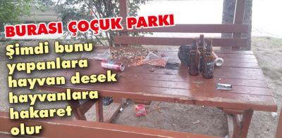 Çocuk parklarını meyhaneye çevirdiler