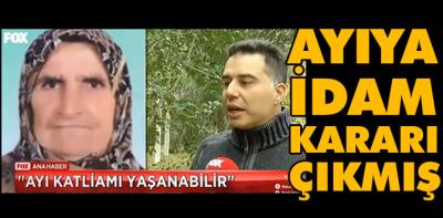 Ayıya idam kararı çıktı