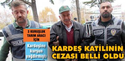 Kardeş katiline 24 yıl hapis