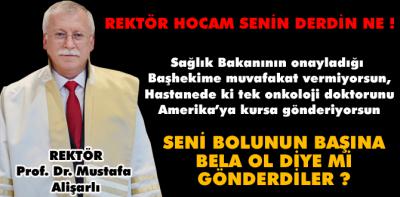 Rektör hoca seni Bolunun başına bela ol diye mi gönderdiler