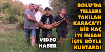 Tellere takılan karaca kurtarıldı