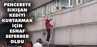 Esnaf kediyi kurtarmak için seferber oldu