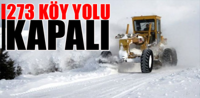 Bolu'da kapalı köy yollarında yol açma çalışmaları devam ediyor