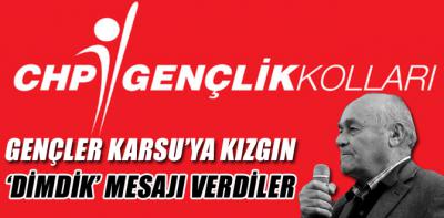 CHP'li gençler Karsu'ya kızgın