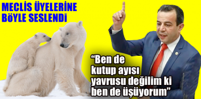 "Üşüyoruz" diyen meclis üyelerine böyle seslendi