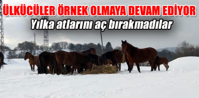 Bolu Ülkü Ocakları örnek olmaya devam ediyor