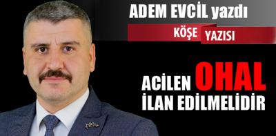 Adem Evcil yazdı...