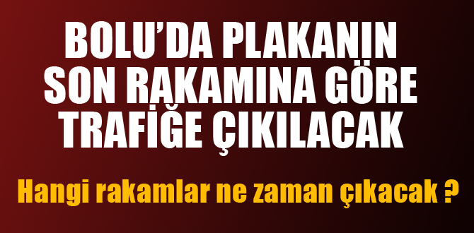 İşte plakanıza göre trafiğe çıkacağınız tarihler