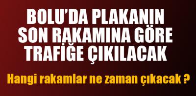 İşte plakanıza göre trafiğe çıkacağınız tarihler