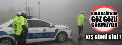 BOLU DAĞI'NDA YOĞUN SİS VE YAĞIŞ VAR