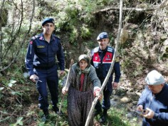 Bolu'da jandarma timleri 797 tatilciyi kurtardı