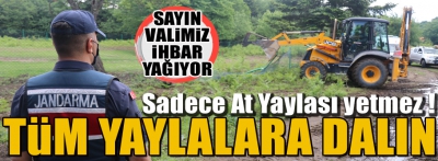 At yaylası yetmez tüm yaylalara dalın