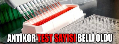 Bolu’da antikor testi yapılıyor