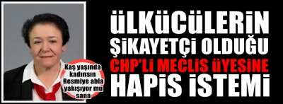 CHP'li belediye meclis üyesine hapis cezası istemi