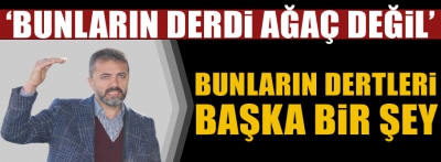 DOĞANAY'DAN ÇOK SERT AĞAÇ TEPKİSİ