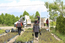 3 yaşındaki kazazede için ekipler seferber oldu