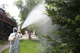 TEM’de soda taşıyan tıra arkadan çarptı: 4 yaralı