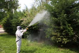 TEM’de soda taşıyan tıra arkadan çarptı: 4 yaralı