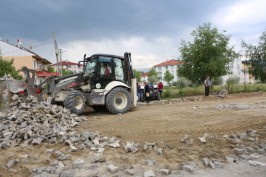 Öğrenciler devrilen ağacın altına kalmaktan son anda kurtuldular