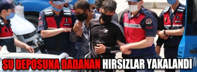 Hırsızlık şüphelisi 4 kişi yakalandı