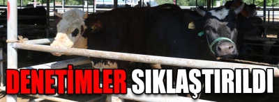 Denetimler sıklaştırıldı