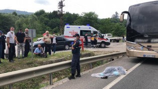 Bolu'nun meşhur ayısı çam ağacına tırmanırken görüntülendi