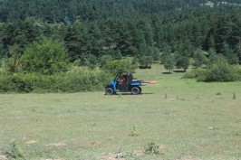 Bolu'da jandarma timleri 797 tatilciyi kurtardı