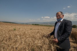 Bolu'da genç kızla papağanın inanılmaz dostluğu