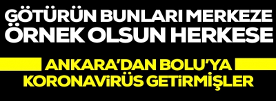 Ankara'dan Bolu'ya koronavirüs getirmişler