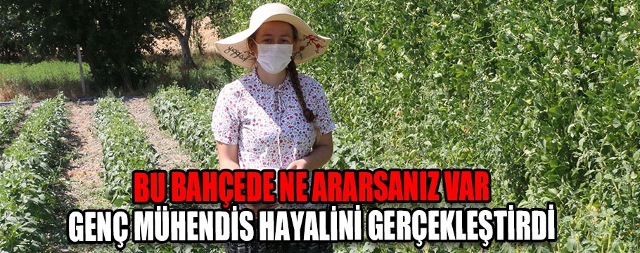 Bu bahçede ne ararsanız var!