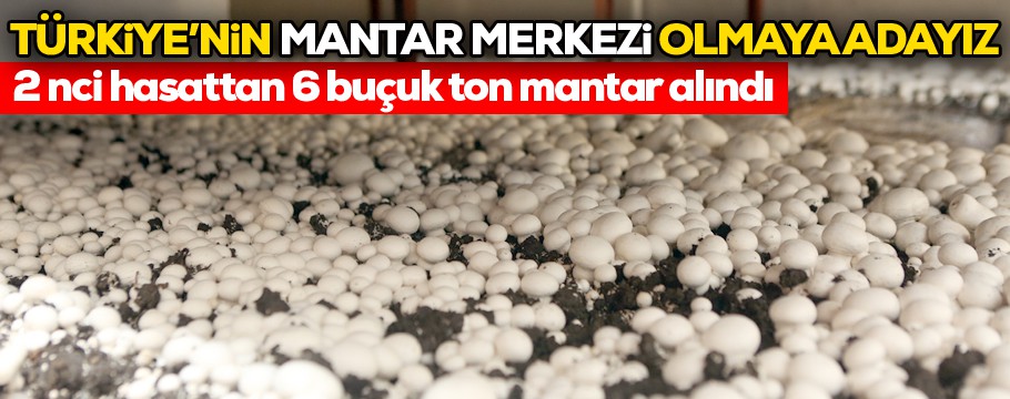 Çok hızlı büyüyorlar