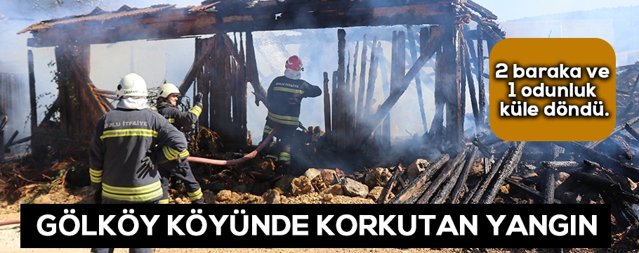 GÖLKÖY KÖYÜNDE ÇIKAN YANGIN KORKUTTU