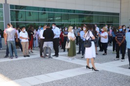 Bolu'nun meşhur ayısı çam ağacına tırmanırken görüntülendi