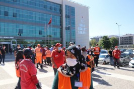 Bolu'nun meşhur ayısı çam ağacına tırmanırken görüntülendi