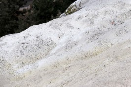 Bolu'da öğrencilerin kaldığı dairede yangın çıktı