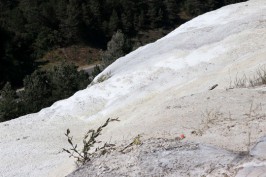 Bolu'da öğrencilerin kaldığı dairede yangın çıktı