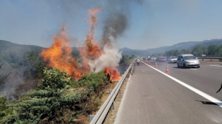 Muhtarlık seçiminde çıkan kavganın zanlıları Bolu'da yakalandı