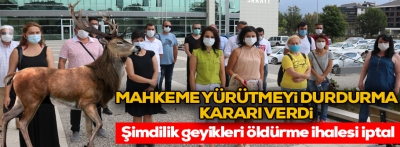  Bolu'da 16 kızıl geyiğin ihaleyle öldürülmesinde yürütme durduruldu