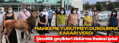  Bolu’da 16 kızıl geyiğin ihaleyle öldürülmesinde yürütme durduruldu