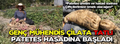 Genç mühendis Çilata tatlı patetes hasadına başladı