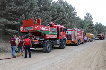 Bolu’da devrilen ağacın kopardığı elektrik teli ormanı yaktı